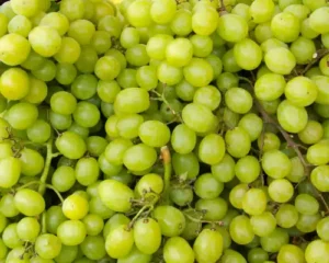 Grapes (Australian)